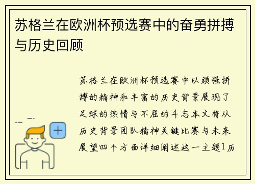 苏格兰在欧洲杯预选赛中的奋勇拼搏与历史回顾