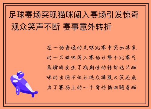 足球赛场突现猫咪闯入赛场引发惊奇 观众笑声不断 赛事意外转折